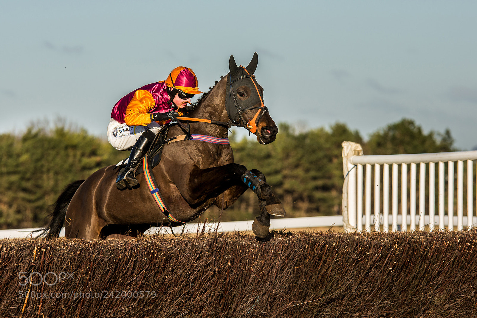 Nikon D7200 sample photo. Larkhill point to point photography