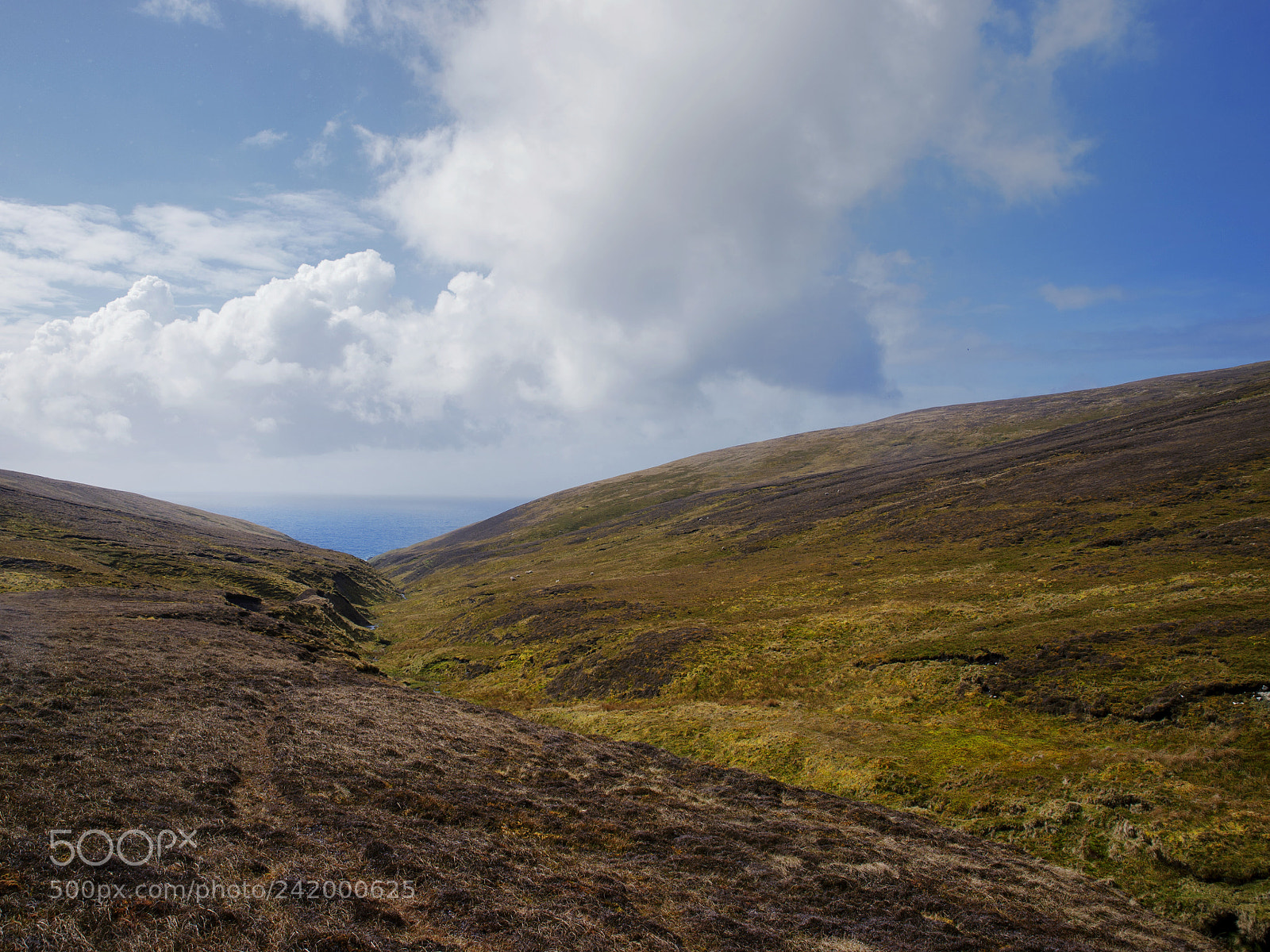Nikon Df sample photo. A bit of horizon photography