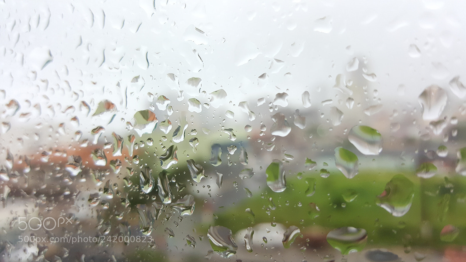 Samsung GALAXY S6 edge sample photo. Raining day photography