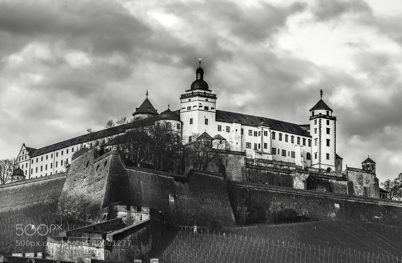 Nikon D810 sample photo. Fortress marienberg in wurzburg photography