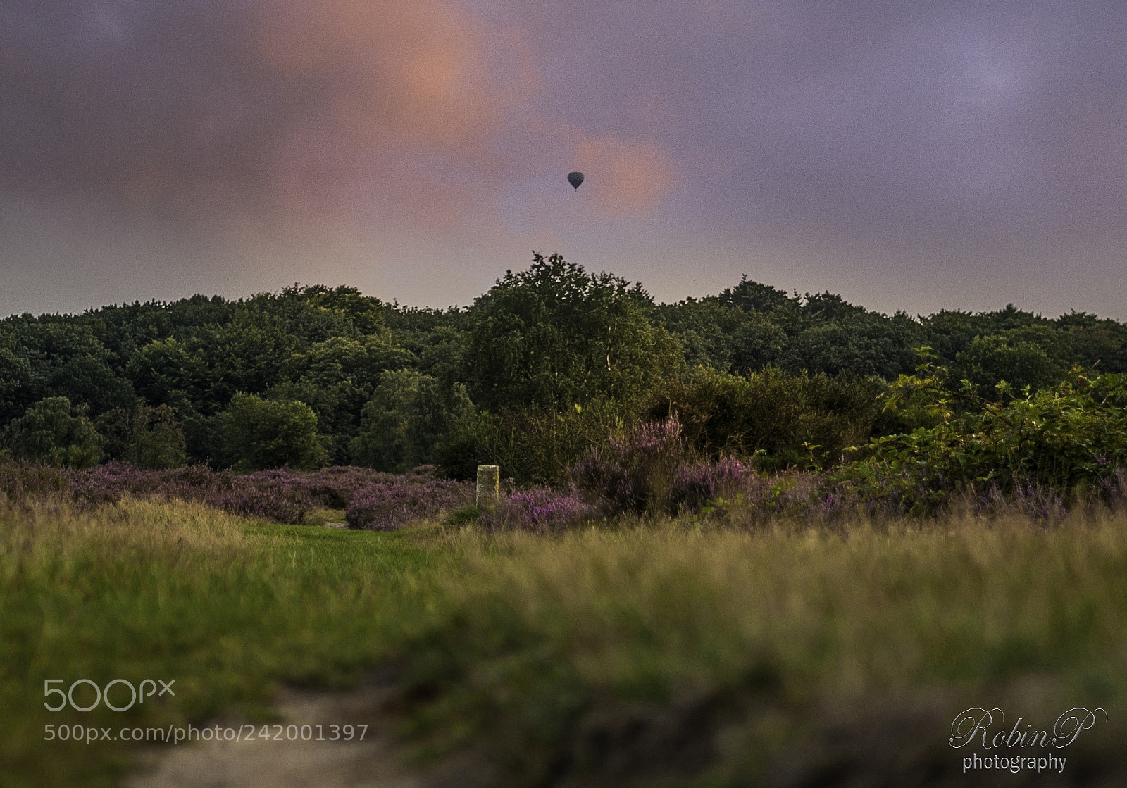 Nikon D5000 sample photo. Balloon photography