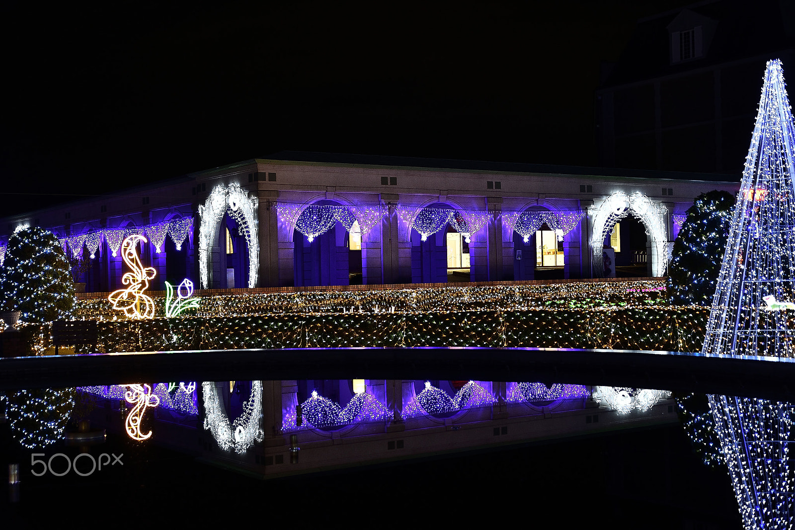 Nikon D800E sample photo. Reflected on the night of the palace water photography