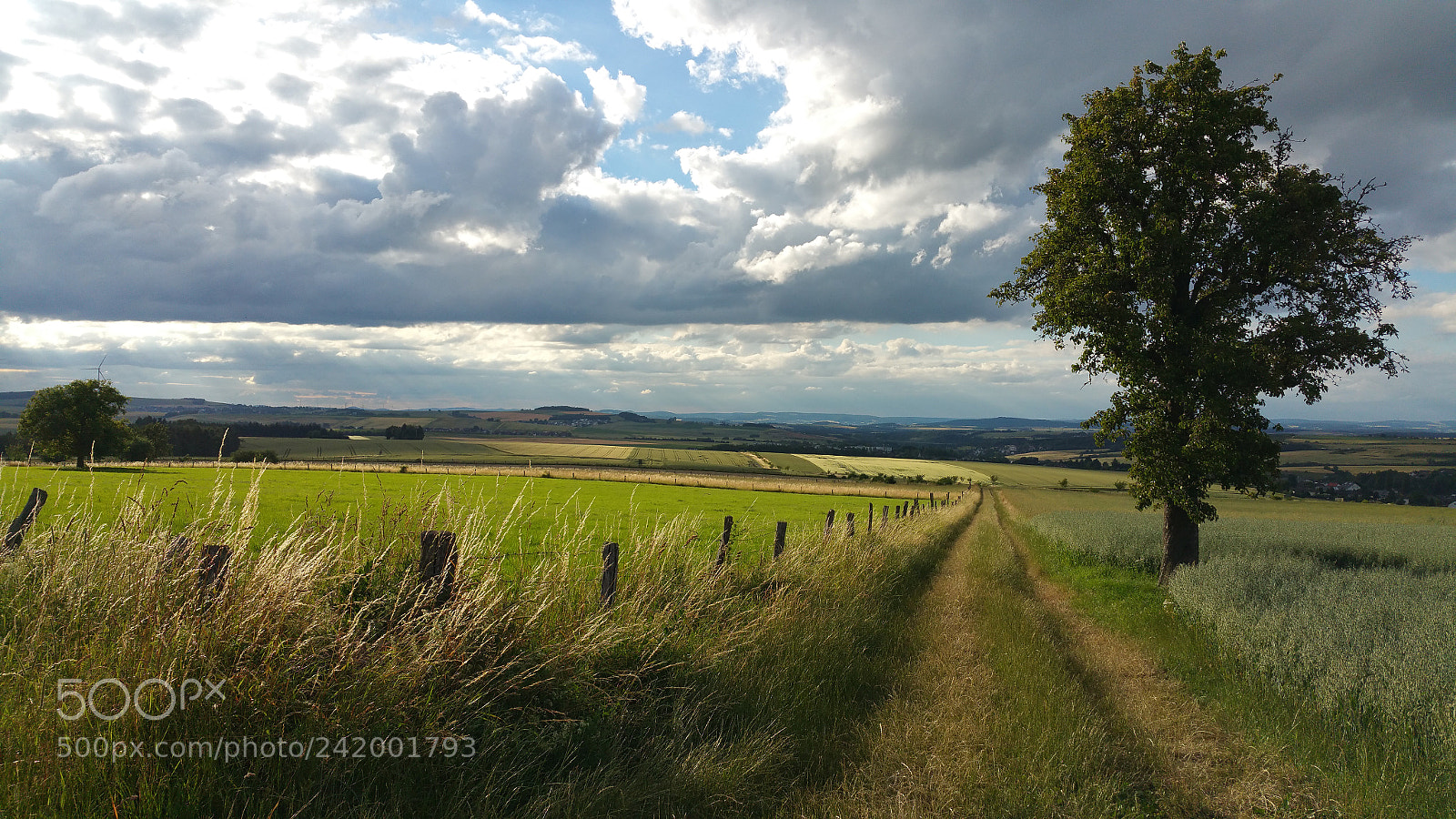 Samsung Galaxy Note4 sample photo. Meadow and sky photography