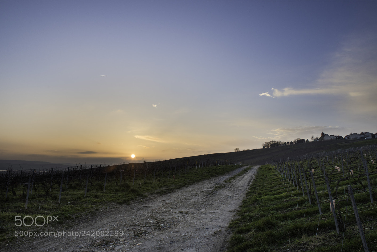 Pentax K-1 sample photo. Road to sunset photography