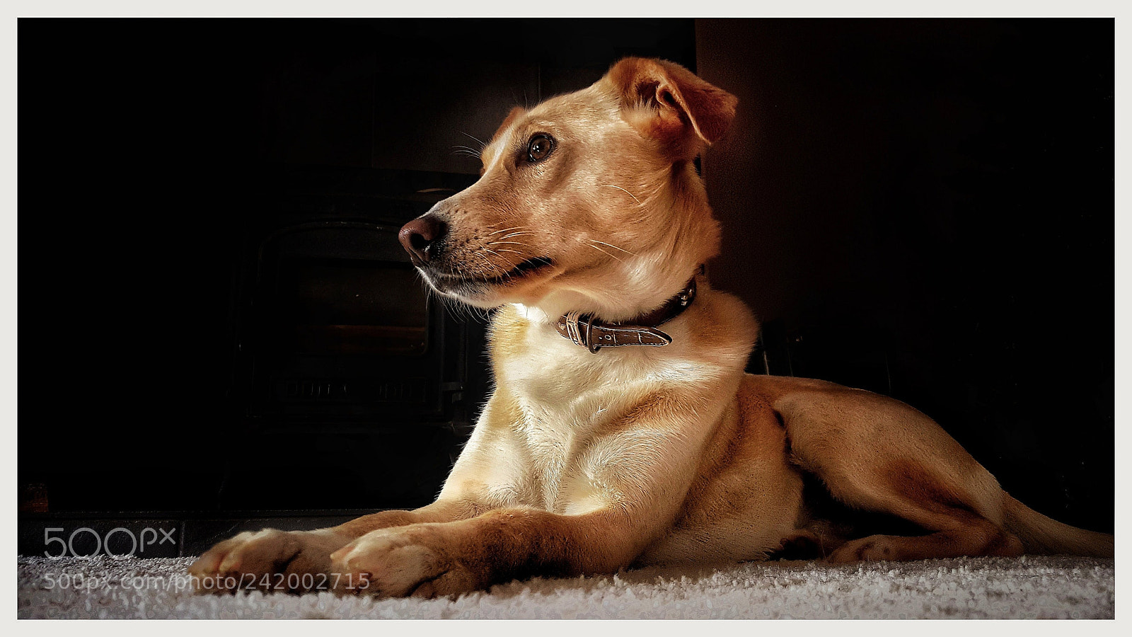 Samsung Galaxy S6 sample photo. Proud boy ( galaxy s6) photography