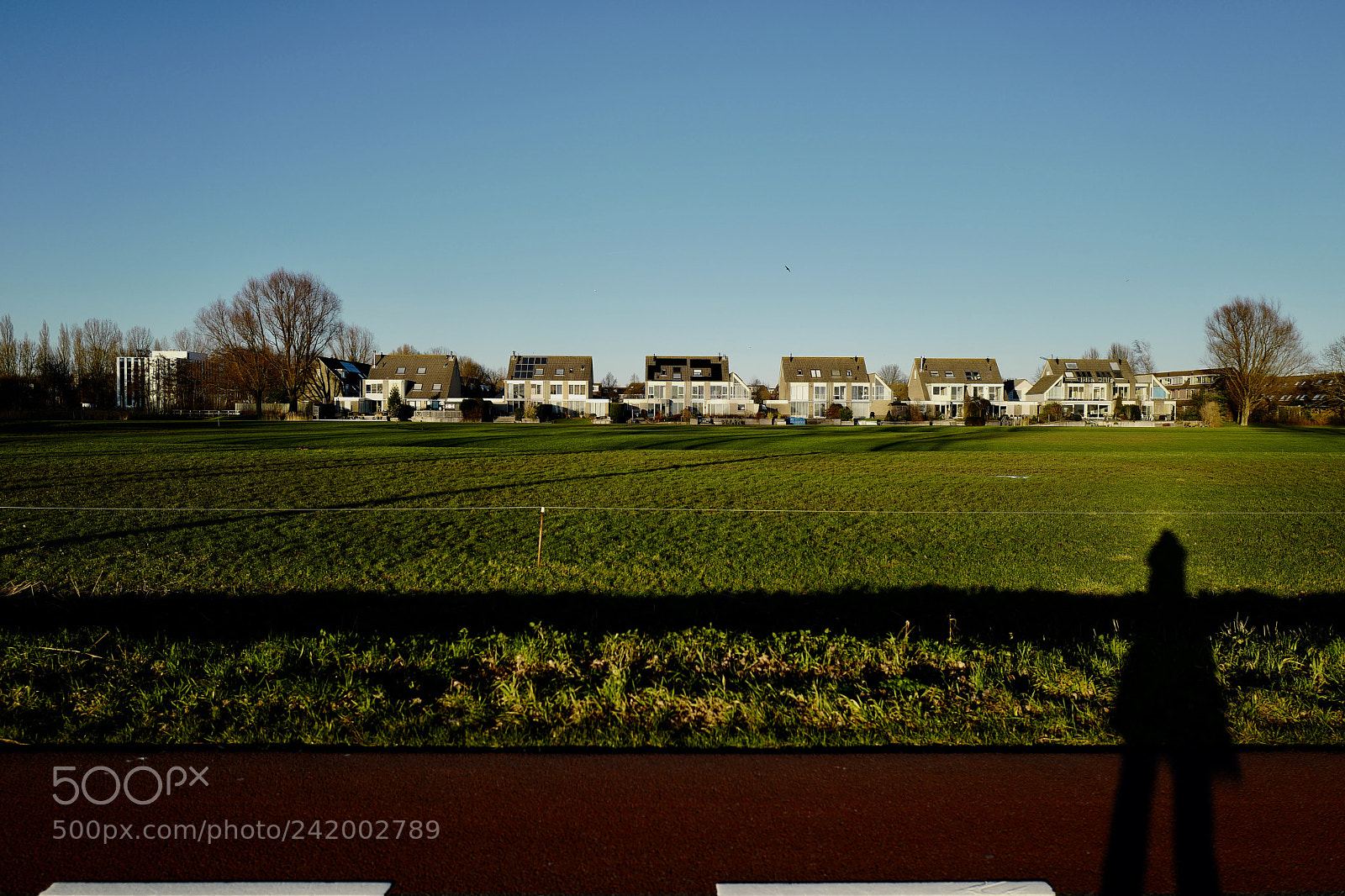 Leica Q (Typ 116) sample photo. Day watcher photography