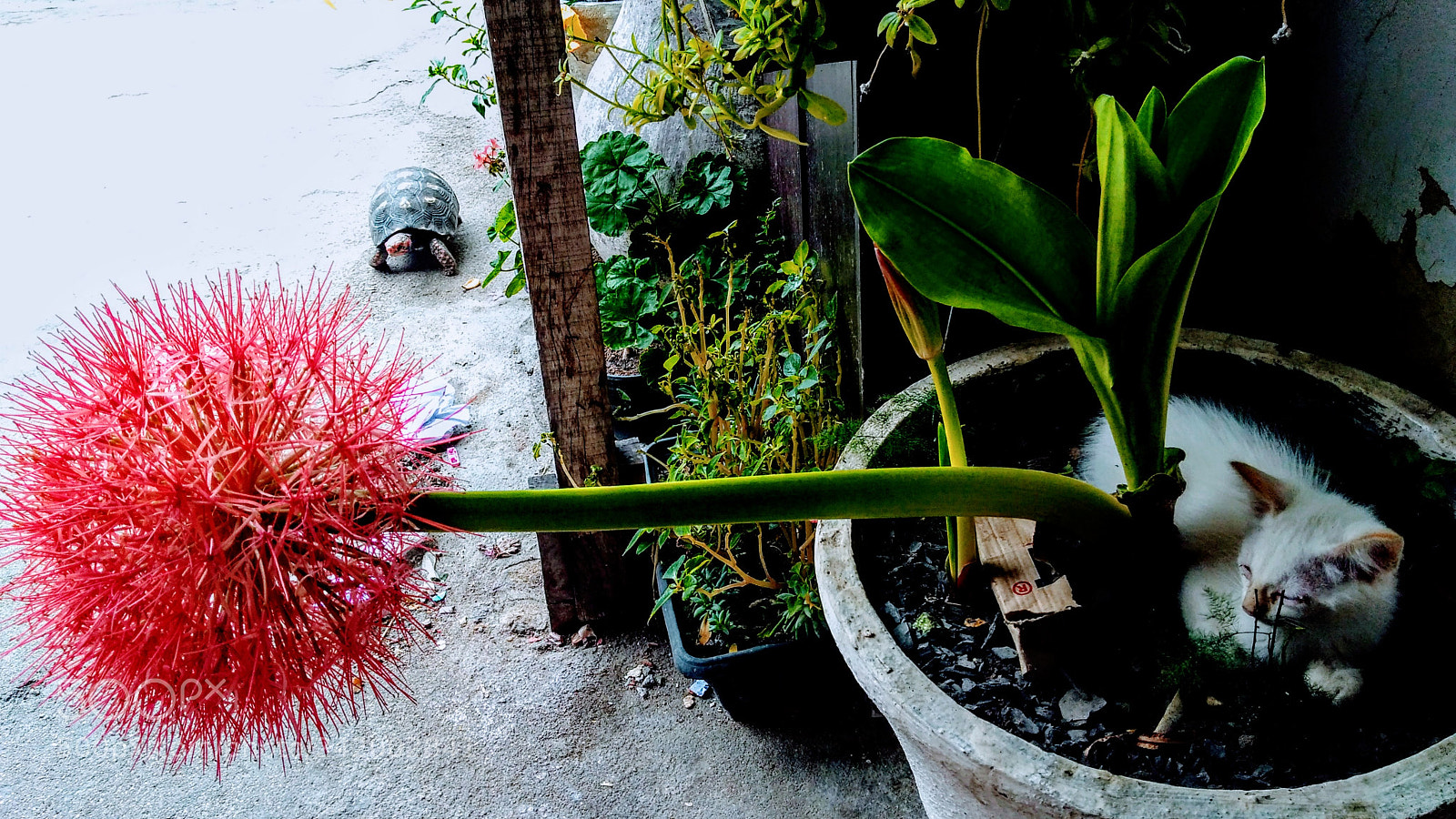 Motorola Moto G Play sample photo. Untitled photography