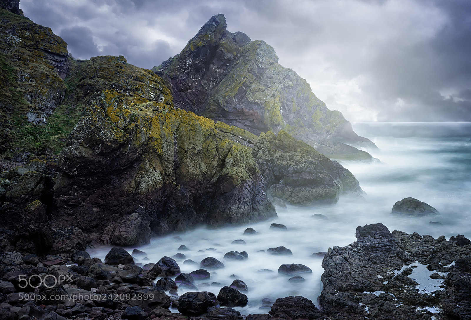Olympus OM-D E-M5 II sample photo. St. abbs head photography