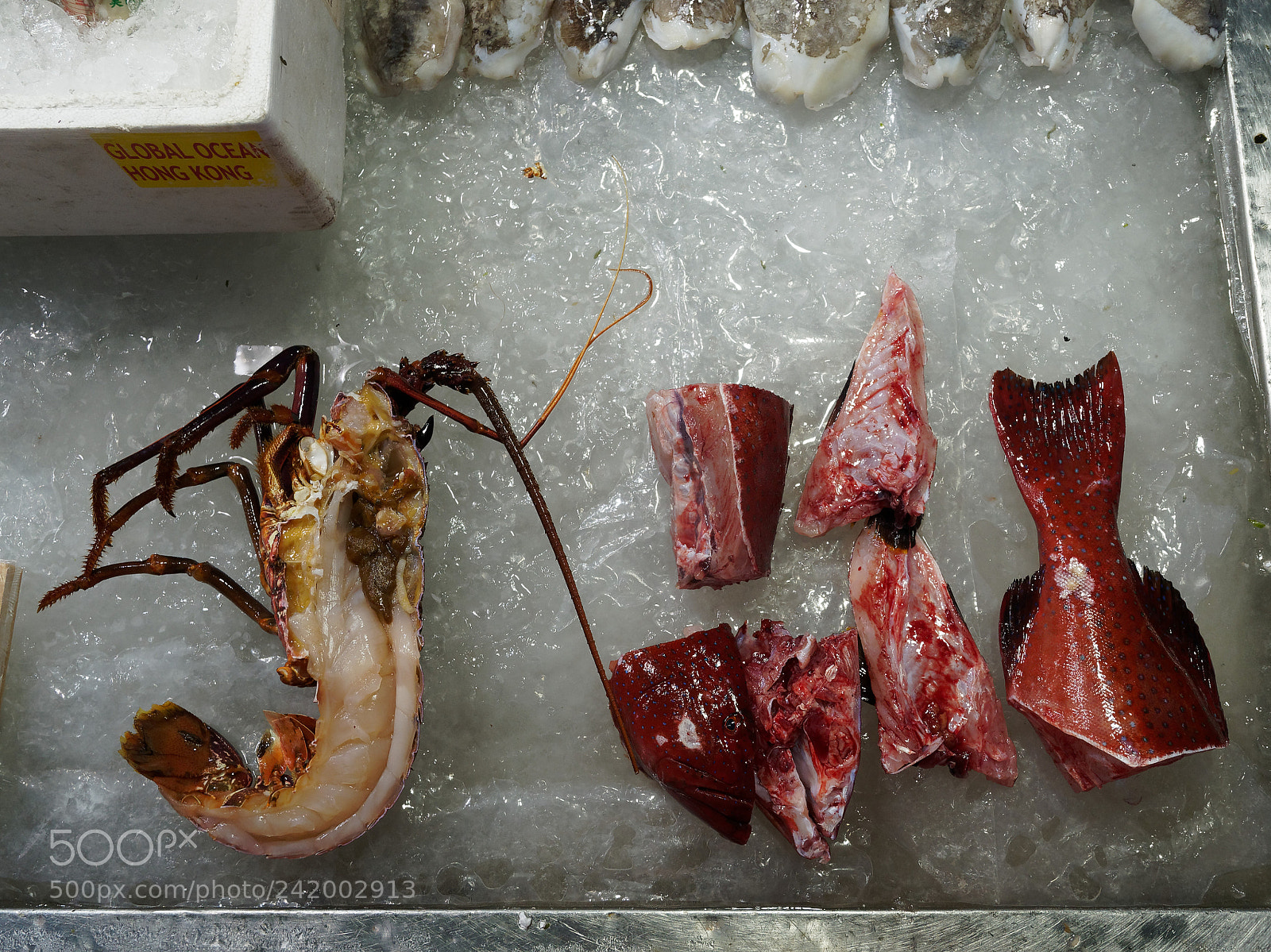 Olympus OM-D E-M10 II sample photo. Ice anatomy photography