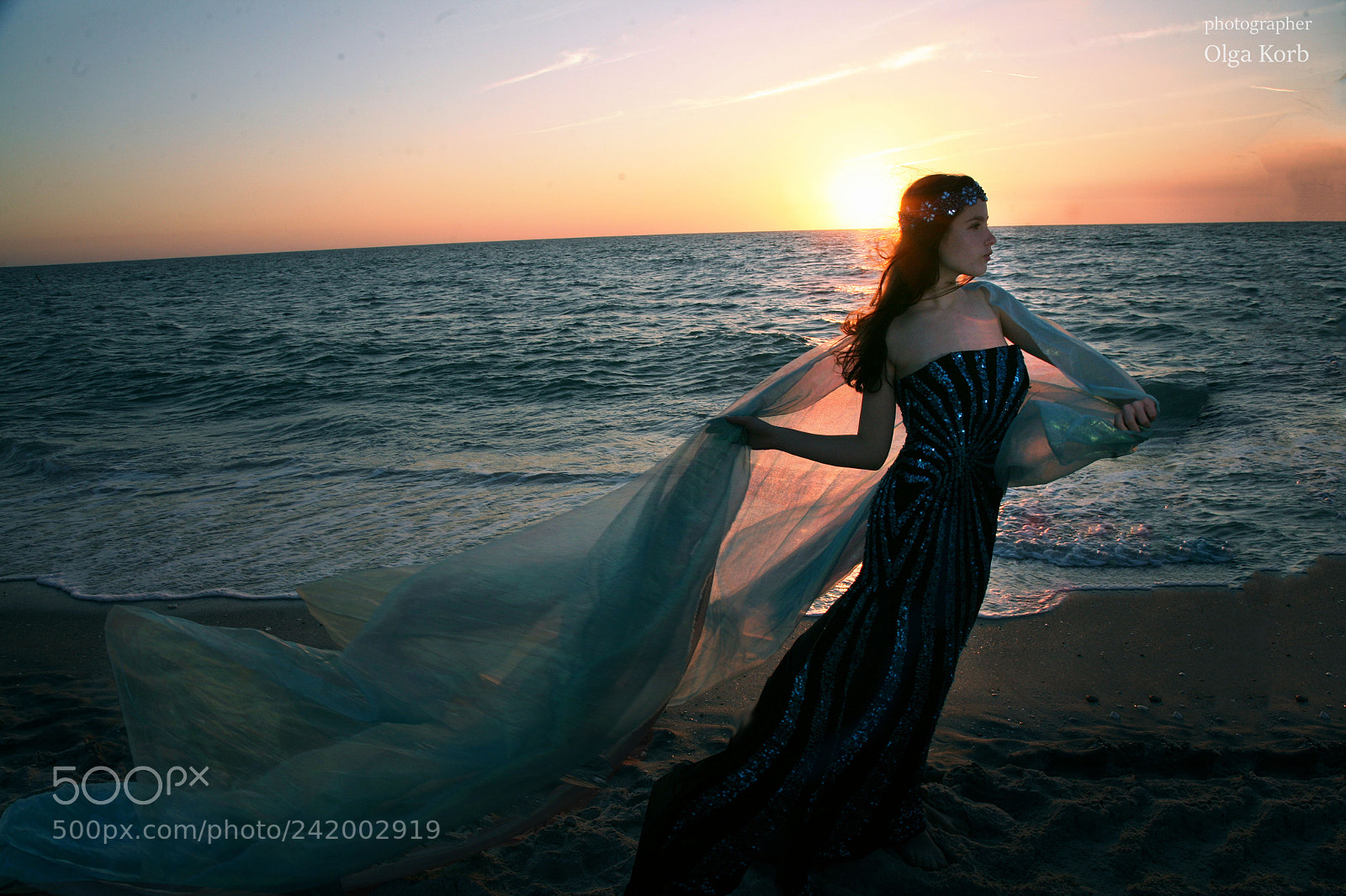 Canon EOS 5D sample photo. Beautiful winter in florida photography