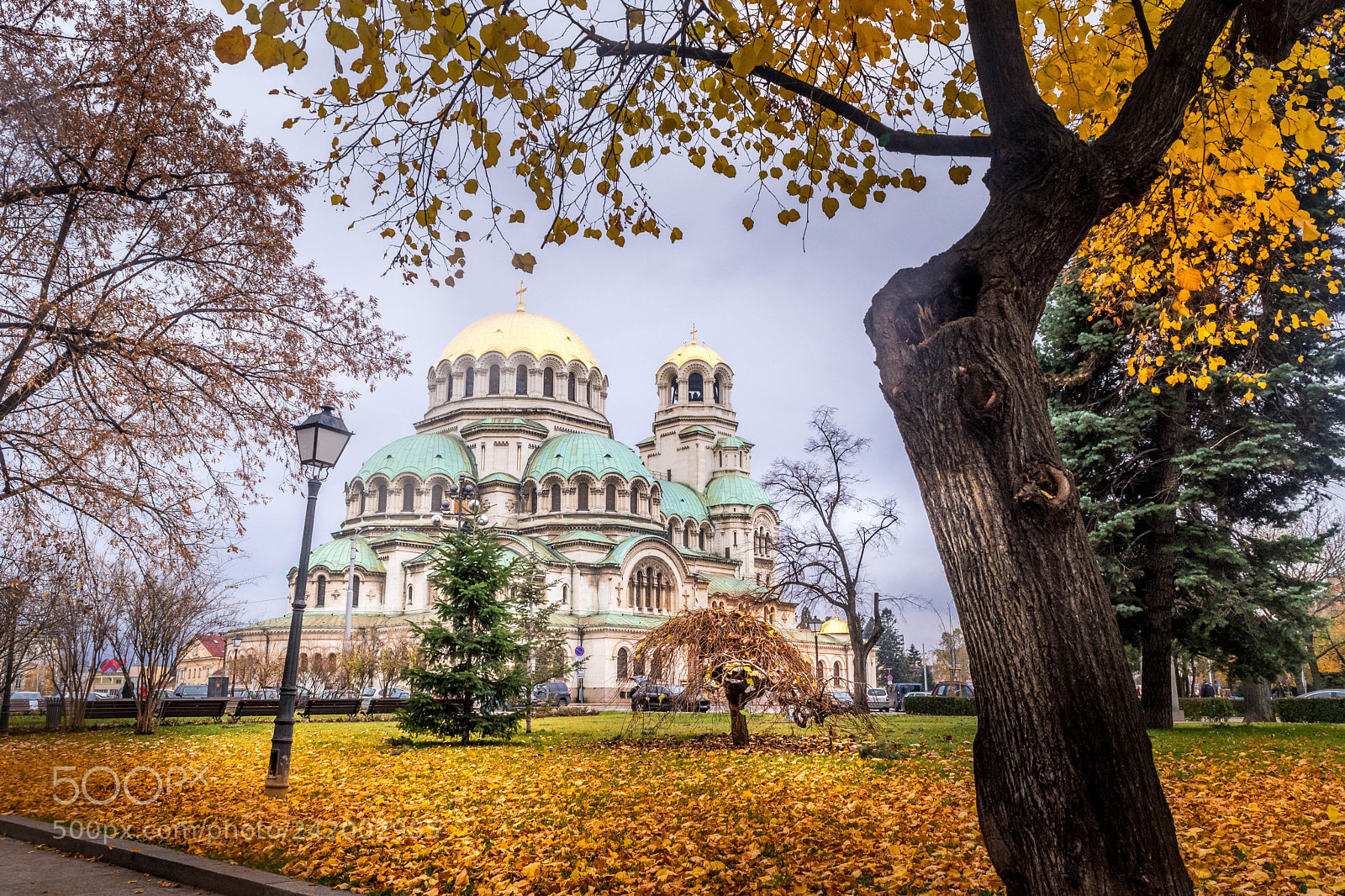 Nikon D5500 sample photo. Ina_4087-5.jpg photography