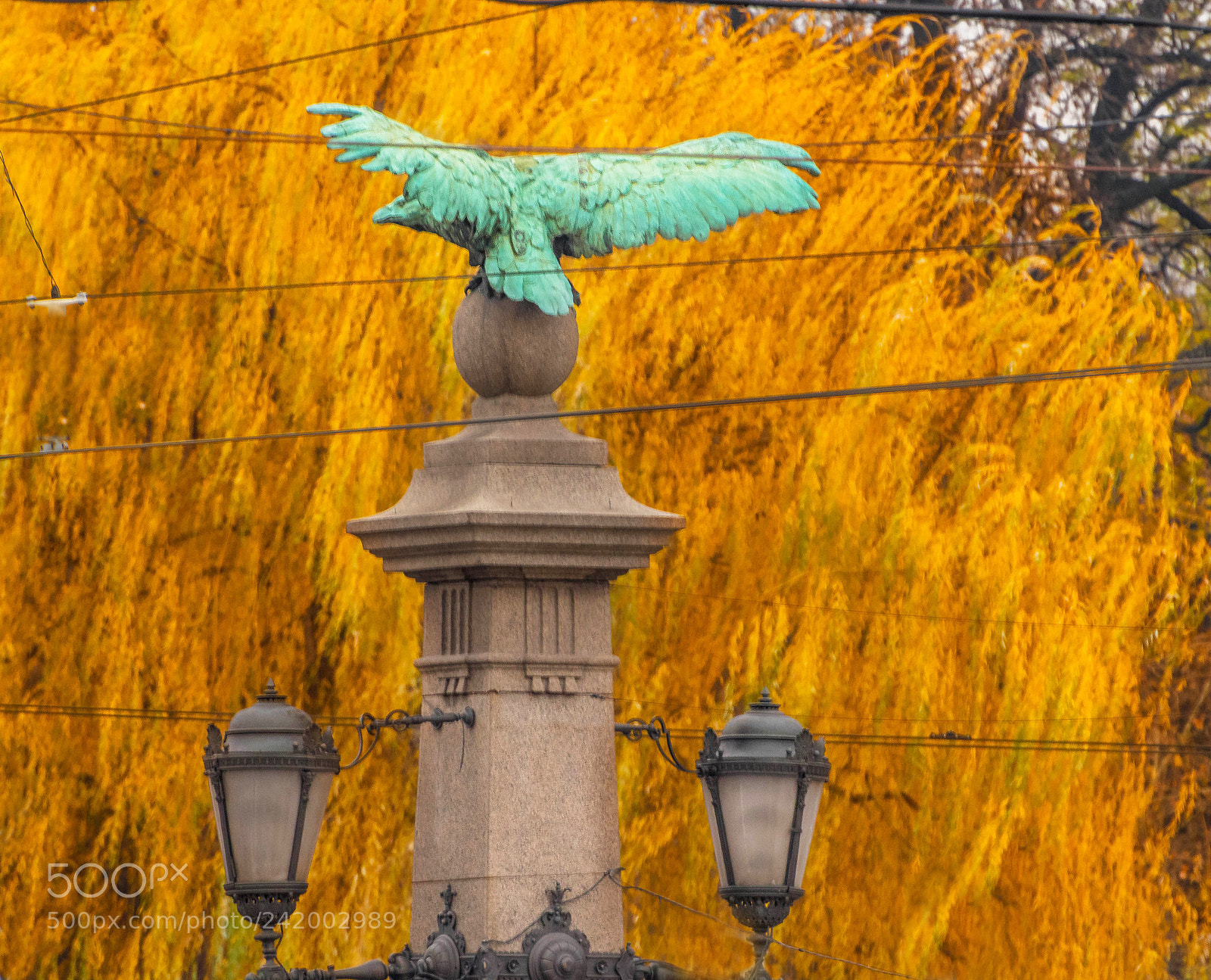 Nikon D5500 sample photo. Ina photography