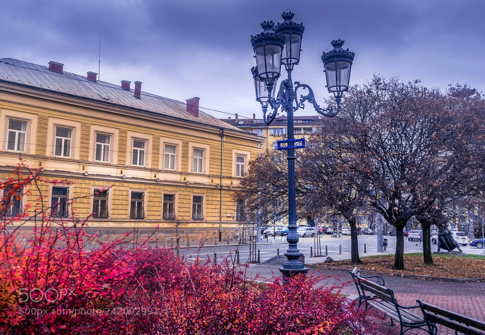 Nikon D5500 sample photo. Ina_4539-10.jpg photography
