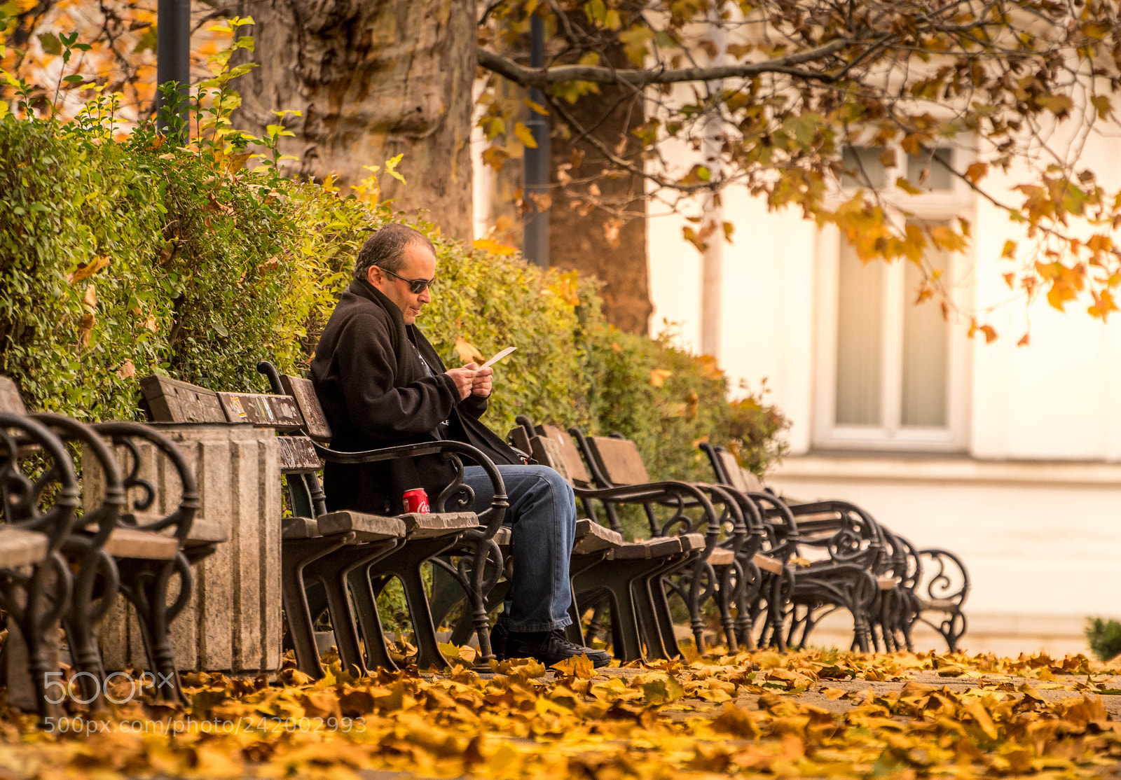 Nikon D5500 sample photo. Ina_4202-3.jpg photography
