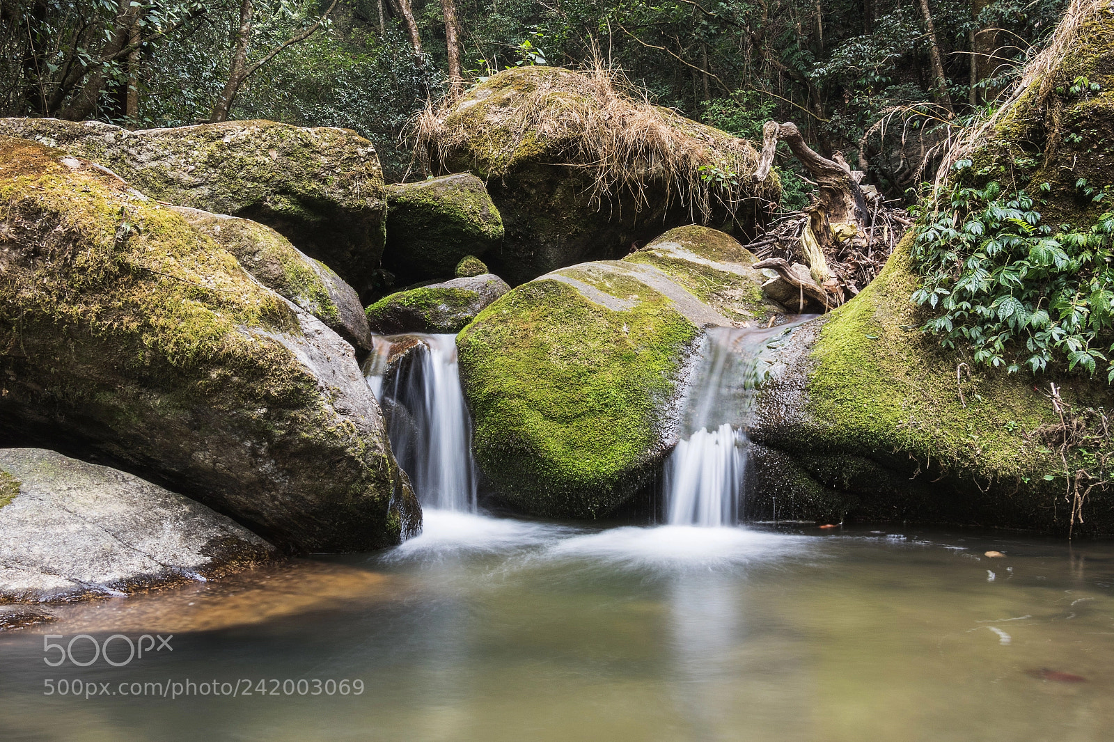 Canon EOS 7D Mark II sample photo. Shivapuri stream photography