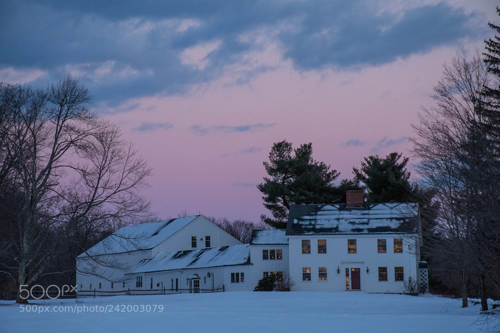 Nikon D7500 sample photo. Kimstead farm photography