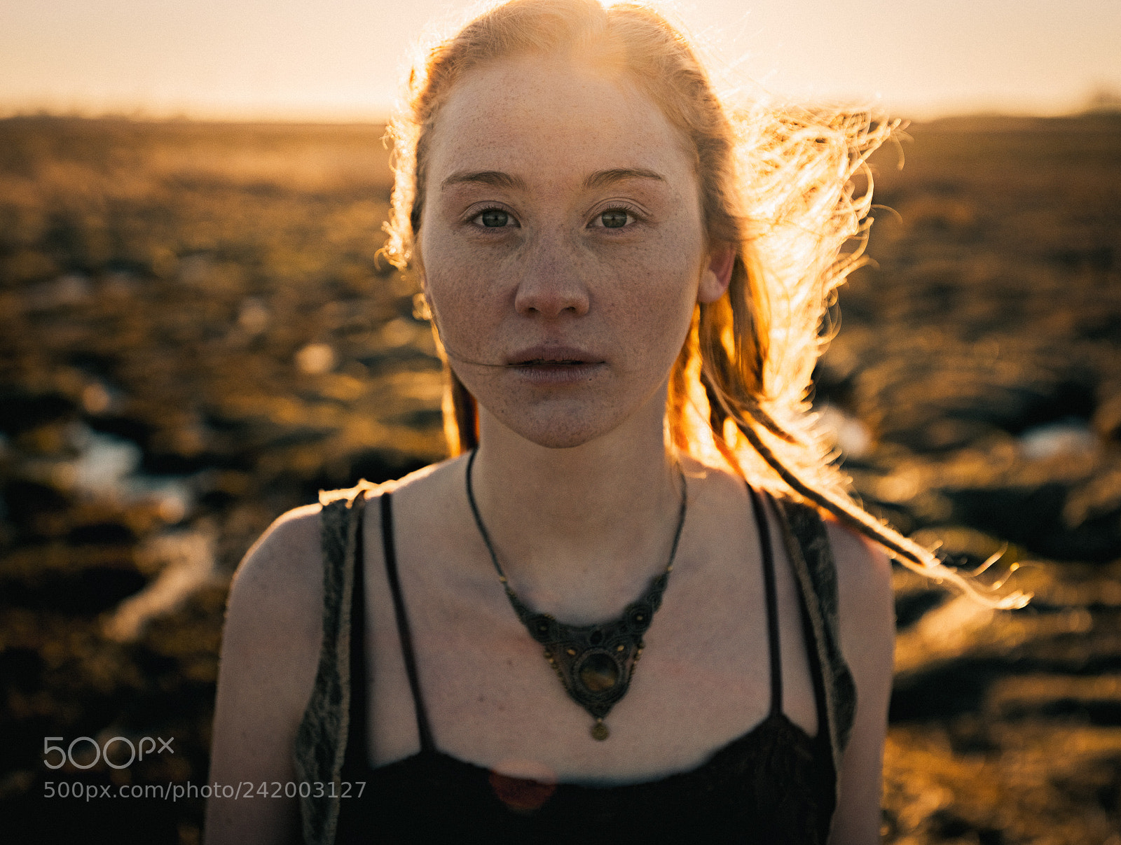 Fujifilm GFX 50S sample photo. From the fire photography