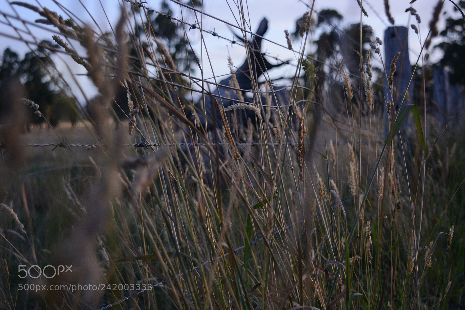 Nikon D7100 sample photo. First one, on the photography