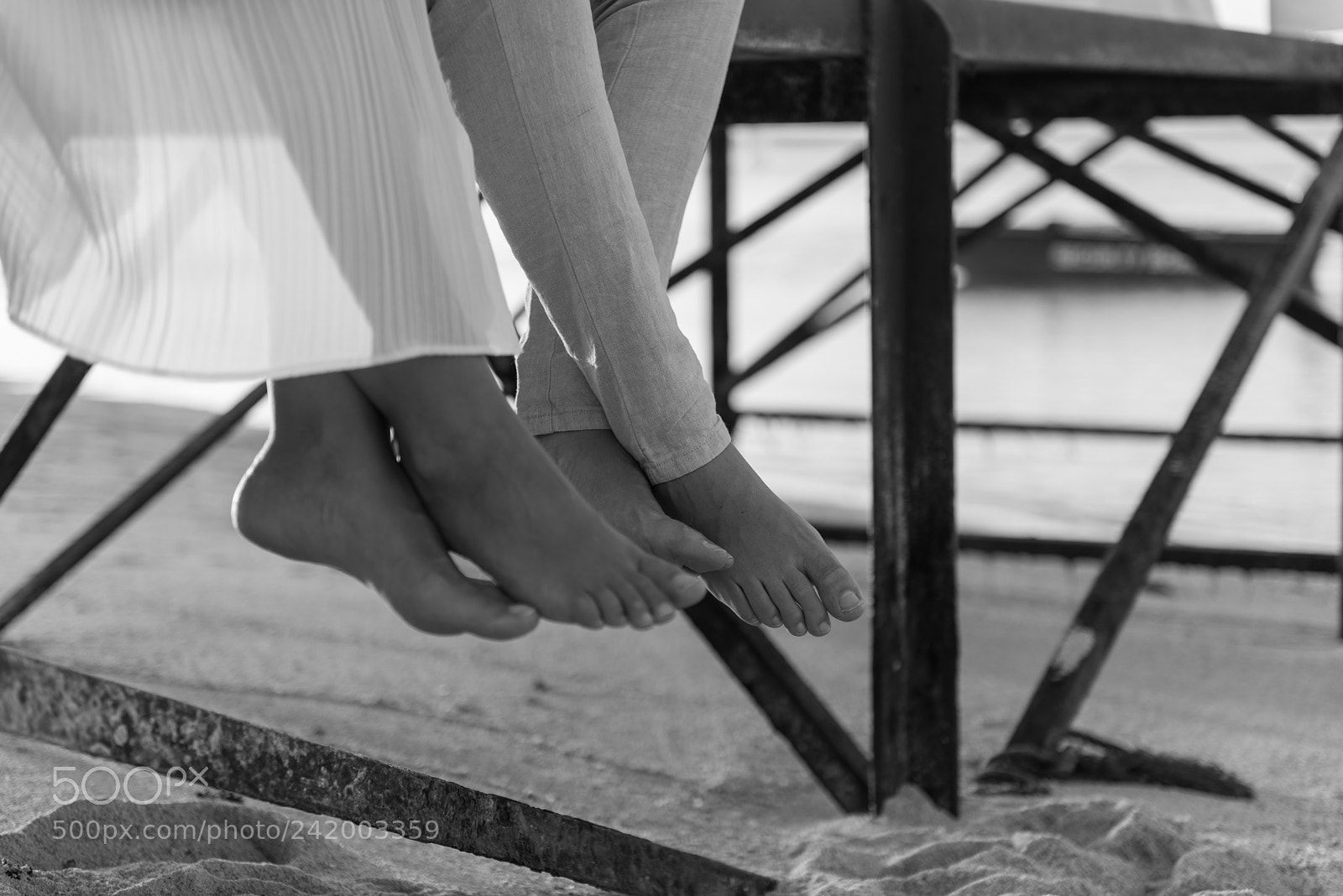 Nikon D810 sample photo. A simple life is photography