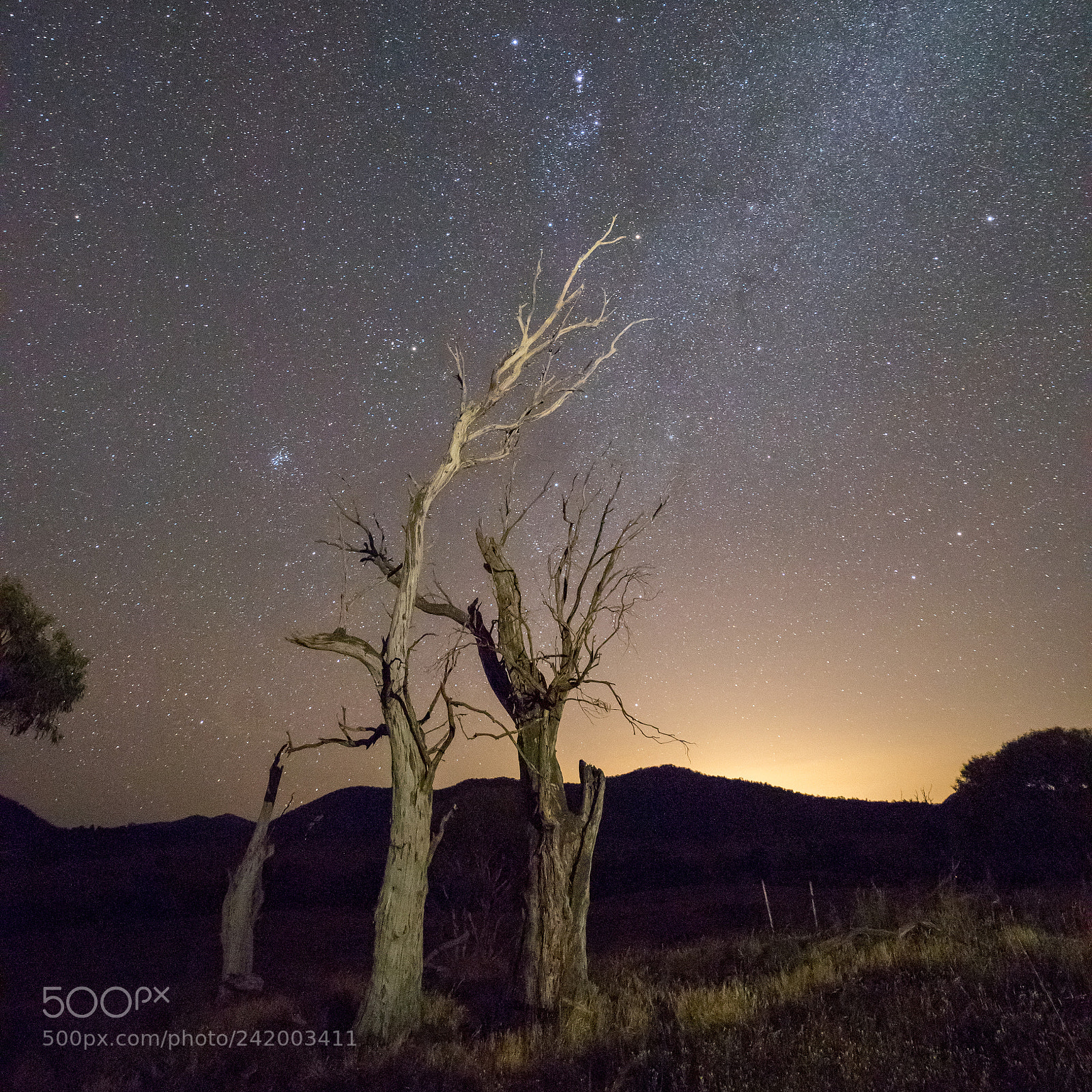 Canon EOS 6D Mark II sample photo. Southern summer stars photography