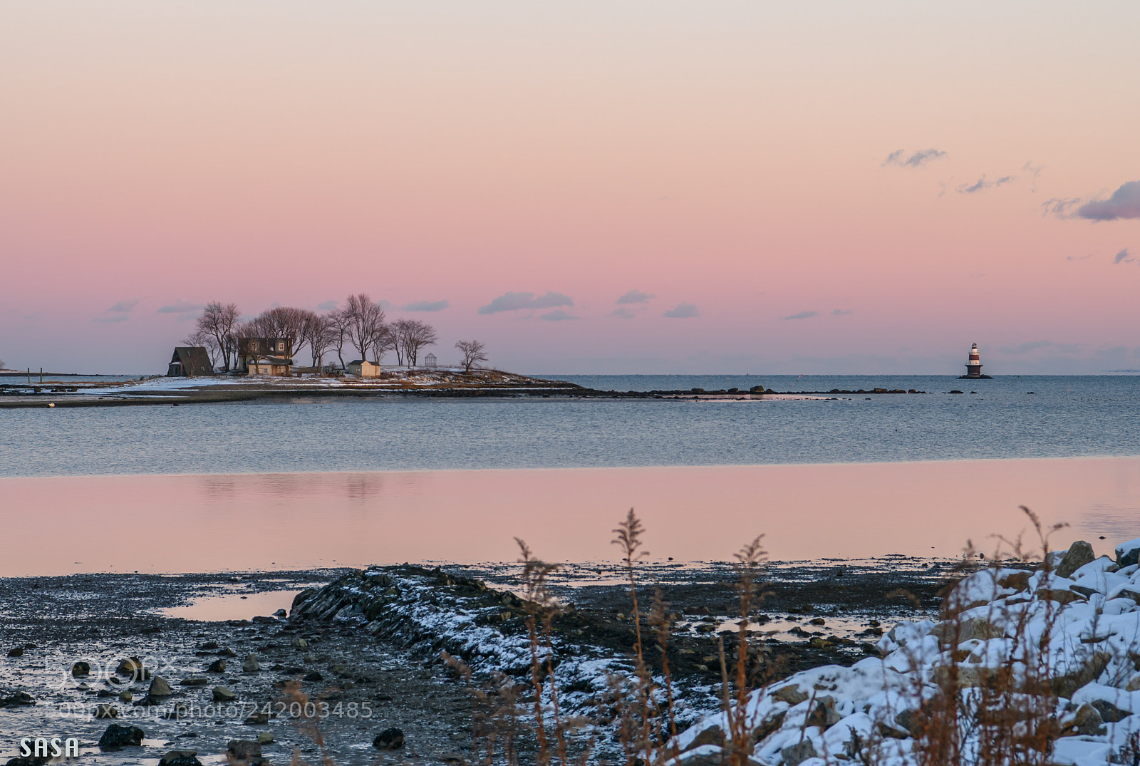 Nikon D850 sample photo. Winter purple photography