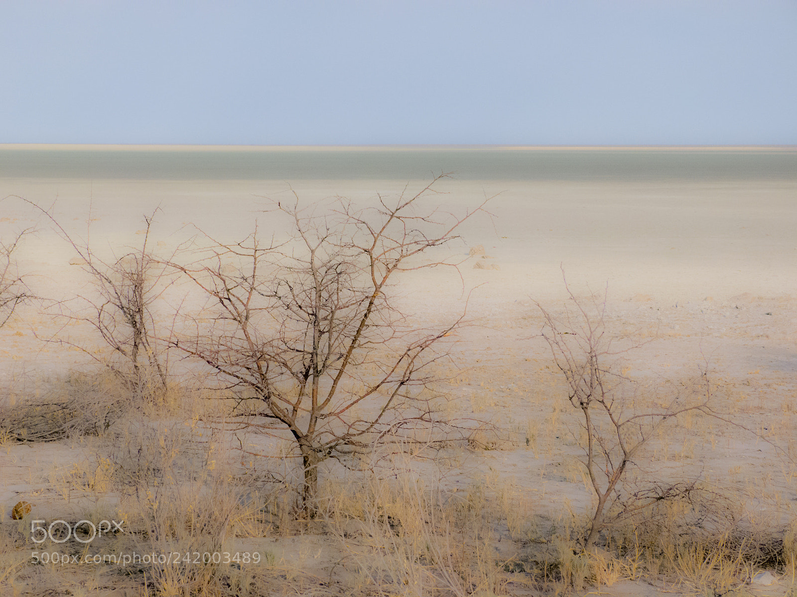 Panasonic Lumix DMC-FZ100 sample photo. Namibia etosha salt pan photography