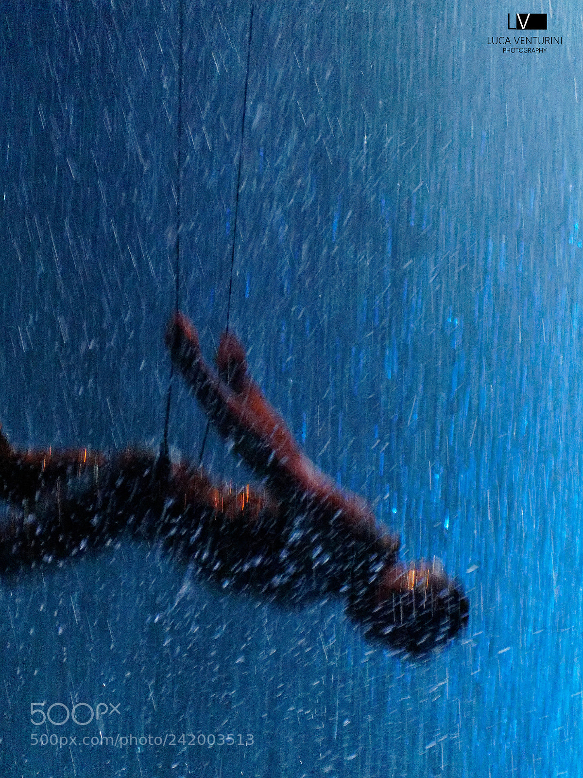 Olympus OM-D E-M10 II sample photo. Falling into the blue photography