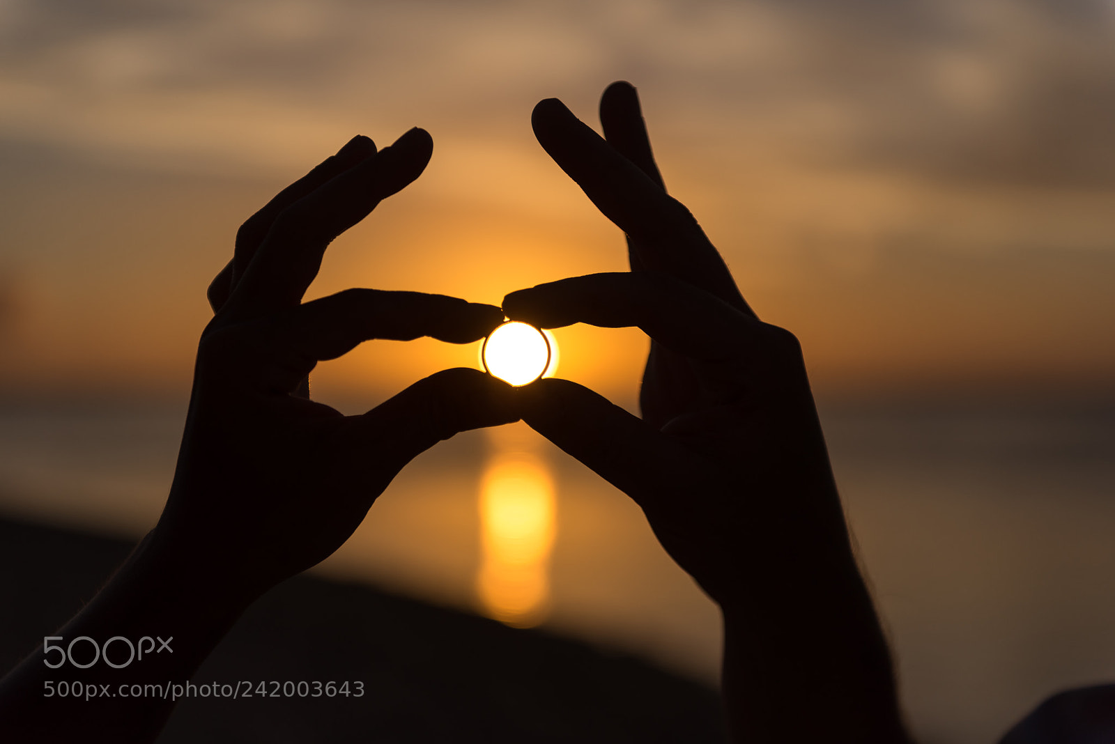Nikon D810 sample photo. Wedding ring photography