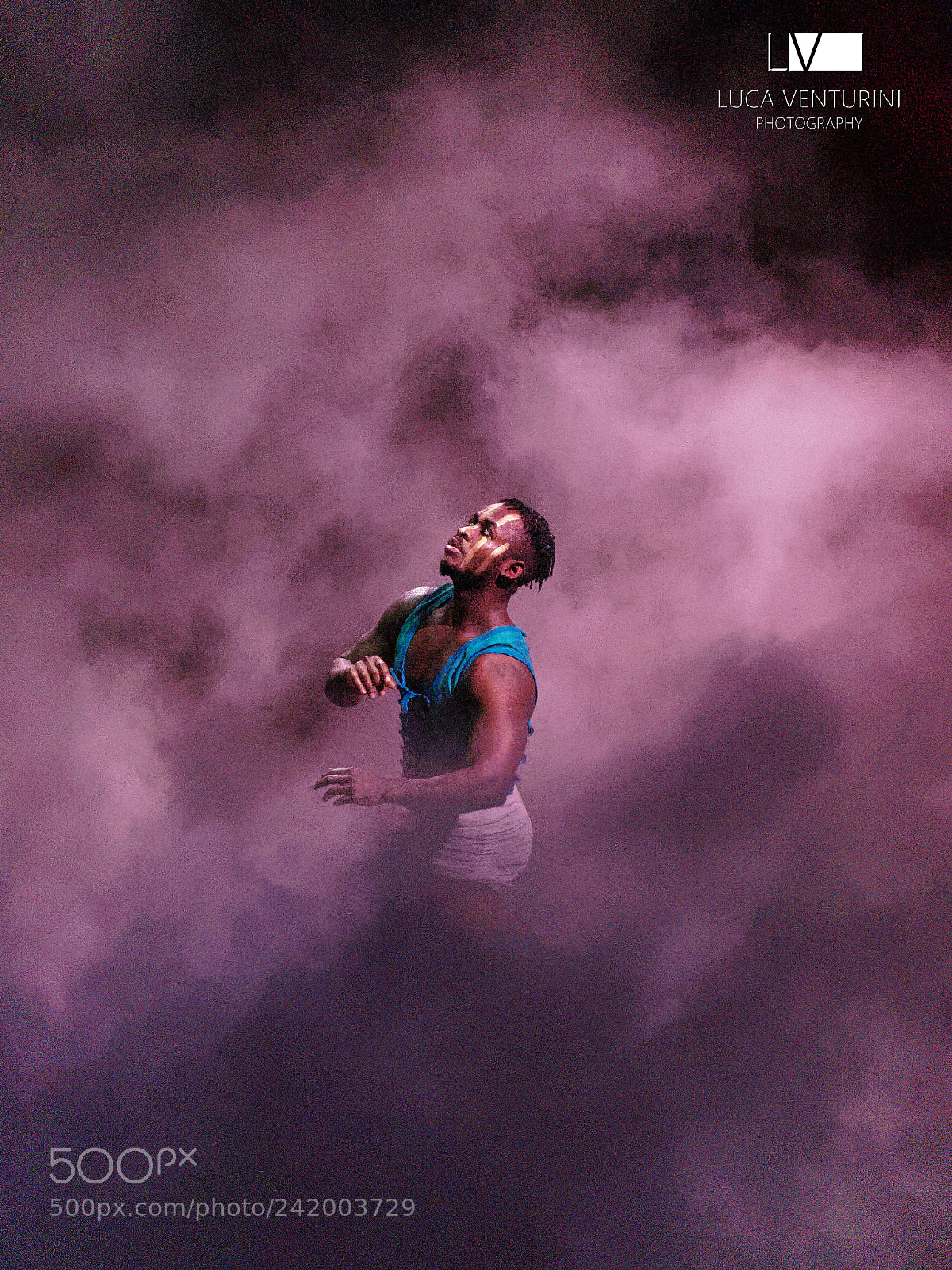 Olympus OM-D E-M10 II sample photo. Purple haze photography