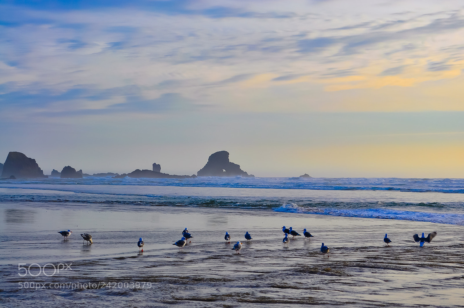 Nikon D90 sample photo. Oregon beach photography