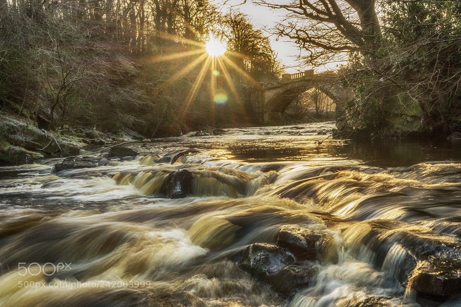 Sony Alpha a5000 (ILCE 5000) sample photo. River almond photography