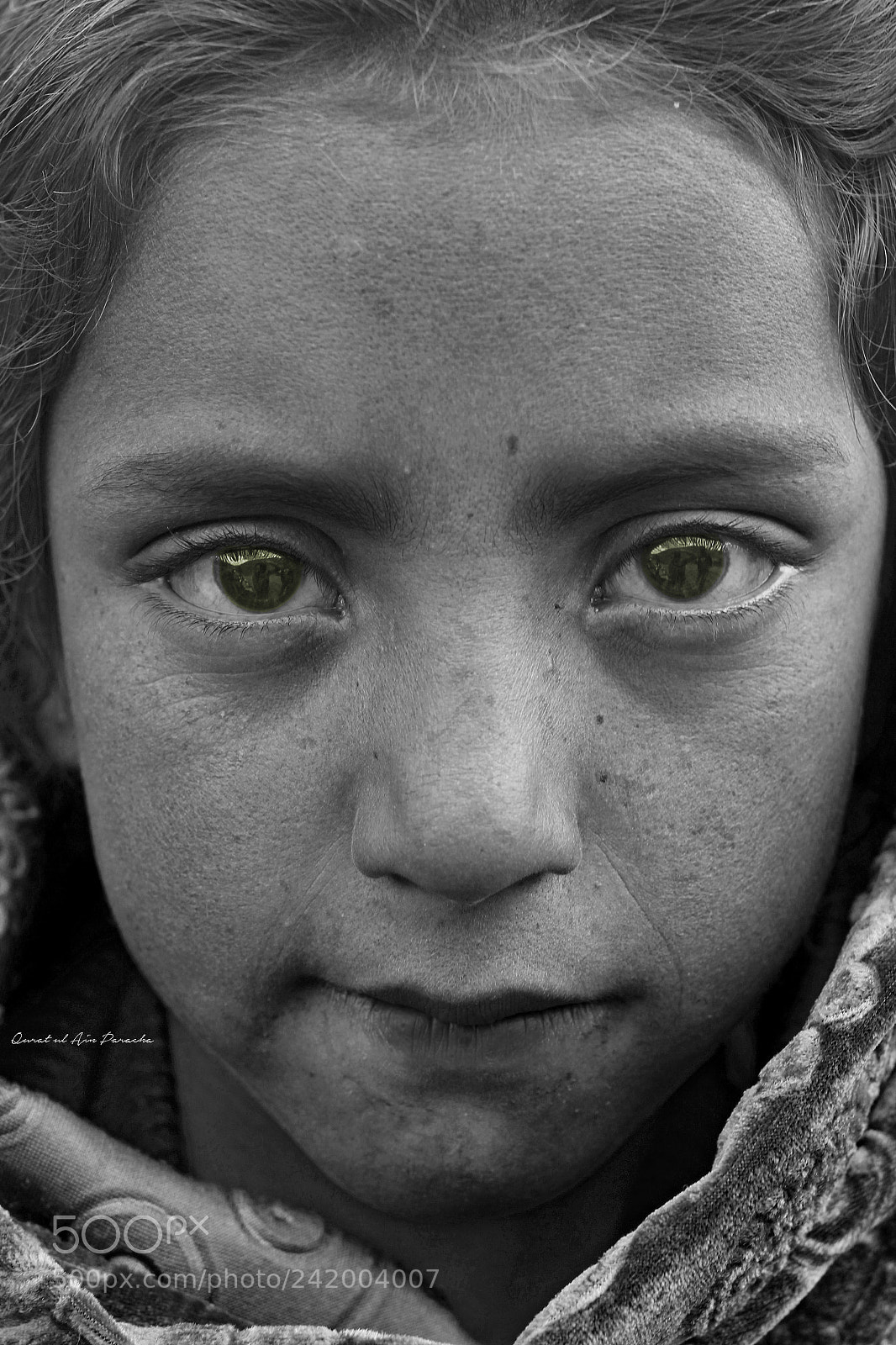 Canon EOS 60D sample photo. A nation that cannot photography