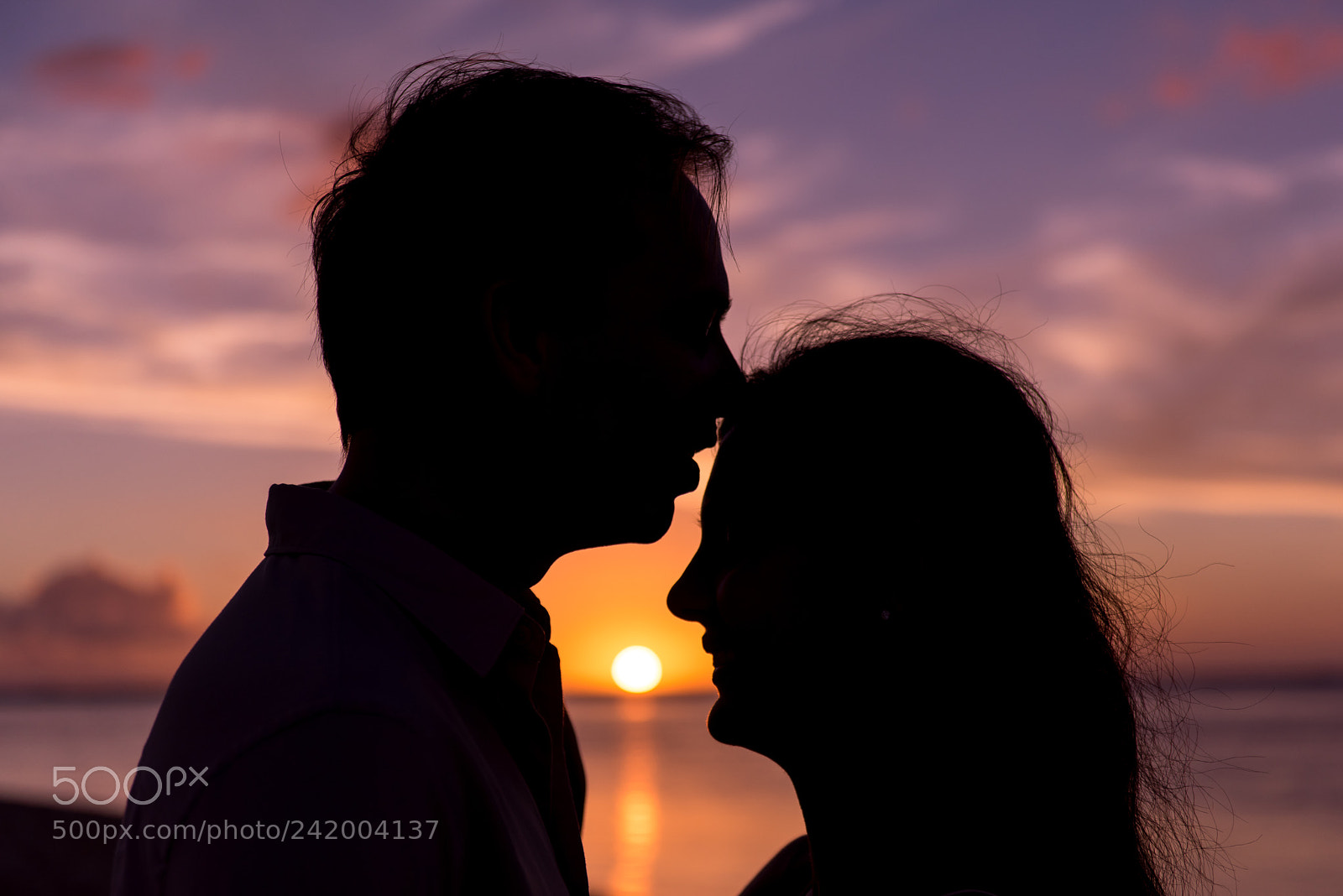 Nikon D810 sample photo. Love is composed of photography