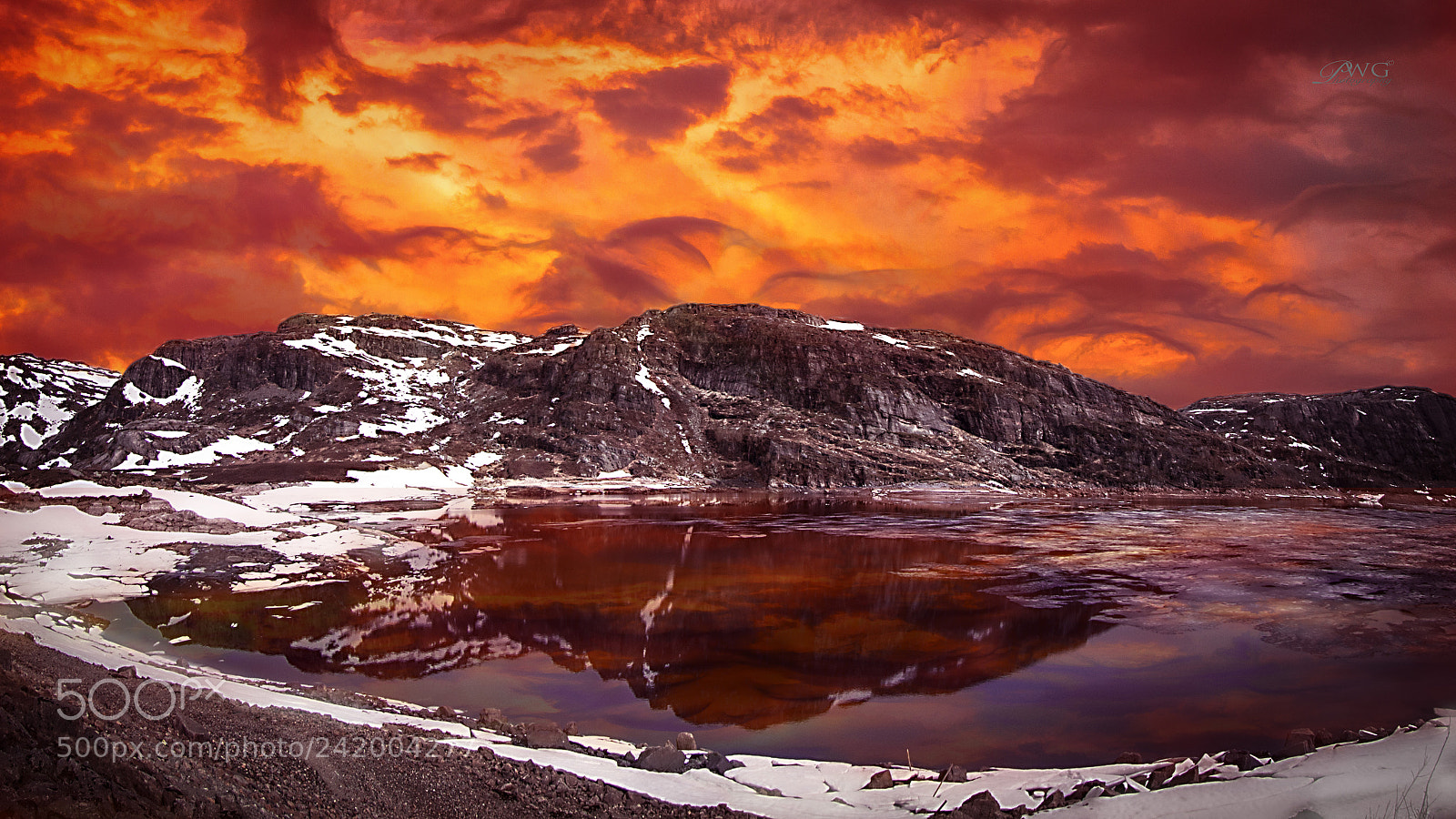 Canon EOS-1D X sample photo. Bergen norway photography