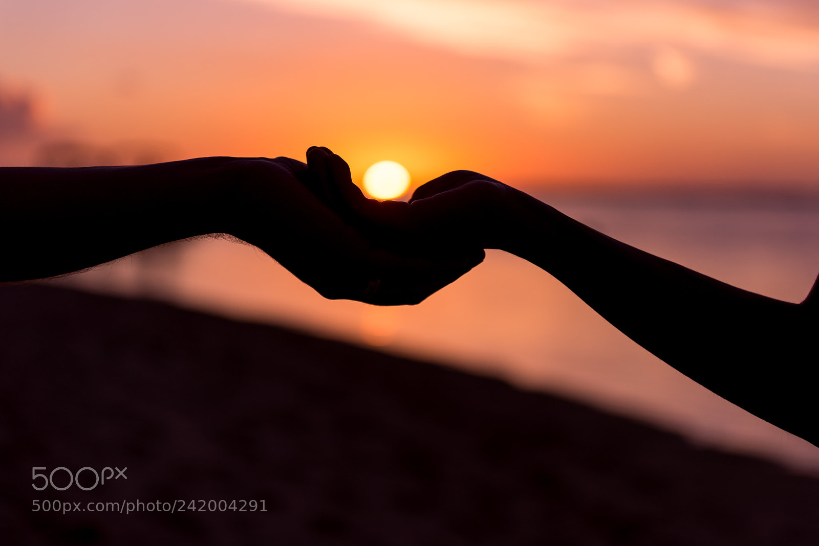 Nikon D810 sample photo. Hold my hand photography