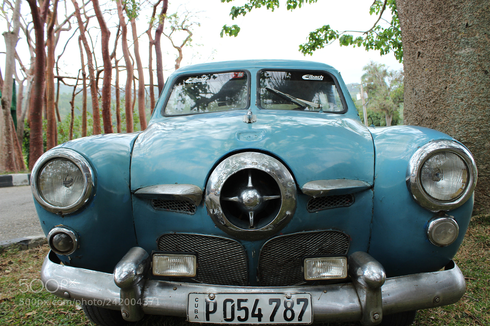Canon EF-S 18-55mm F3.5-5.6 III sample photo. Untitled photography