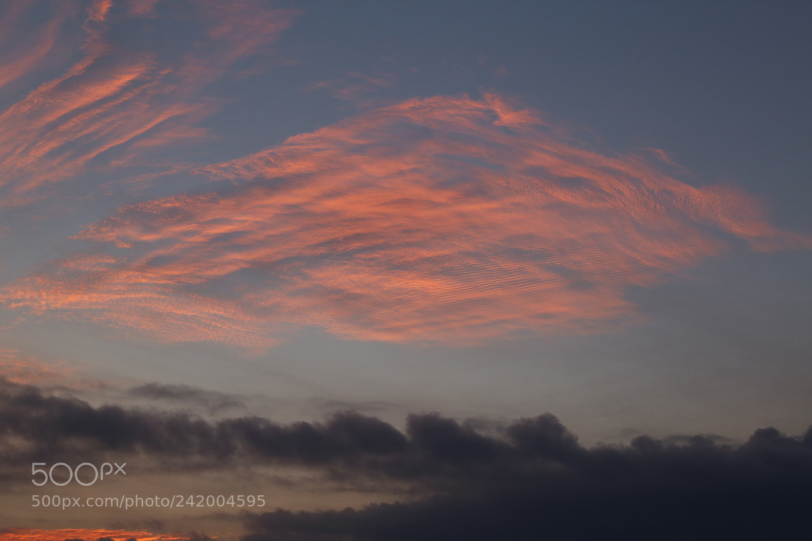 Canon EF 24-105mm F3.5-5.6 IS STM sample photo. The sun rises photography