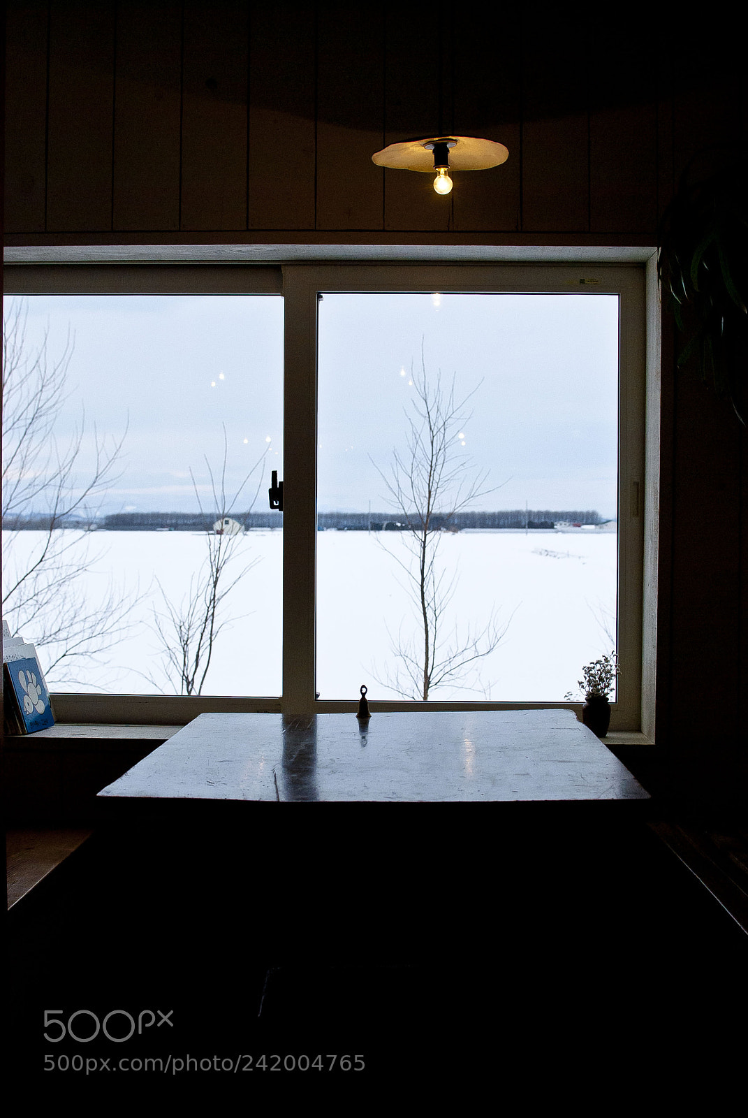 Nikon D60 sample photo. Snow outside the window photography