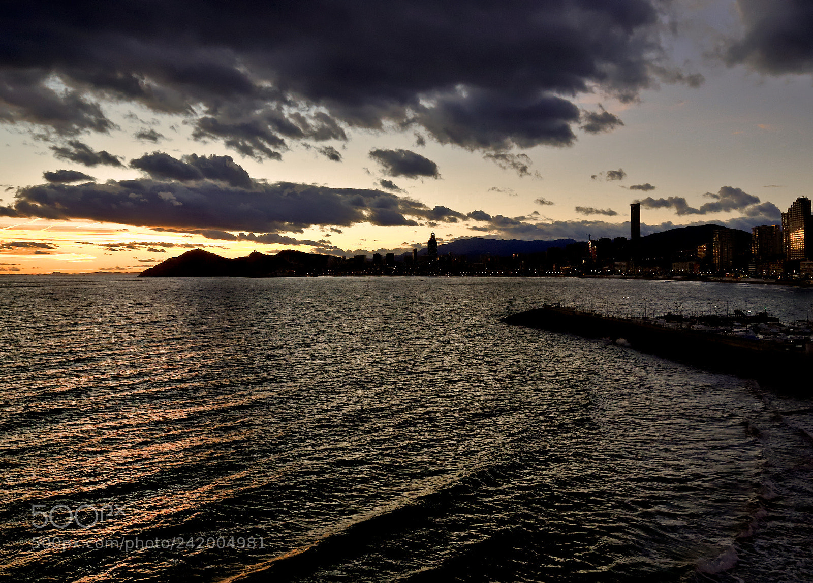 Canon EOS 6D Mark II sample photo. Splendid photography