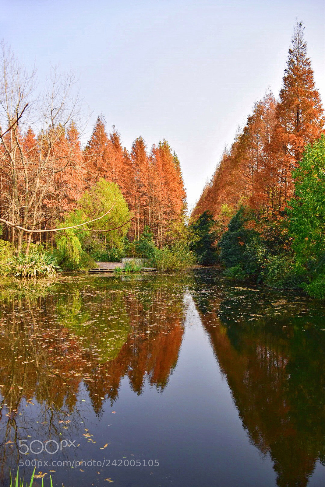 Nikon D5500 sample photo. Late autumn 11 photography