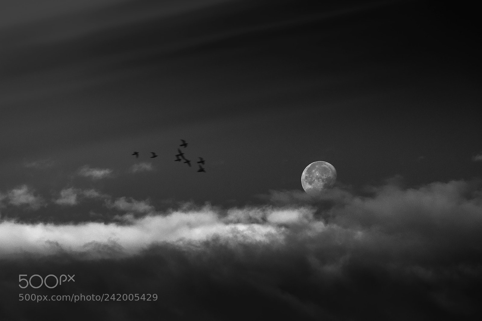 Nikon D90 sample photo. Flying to the moon photography