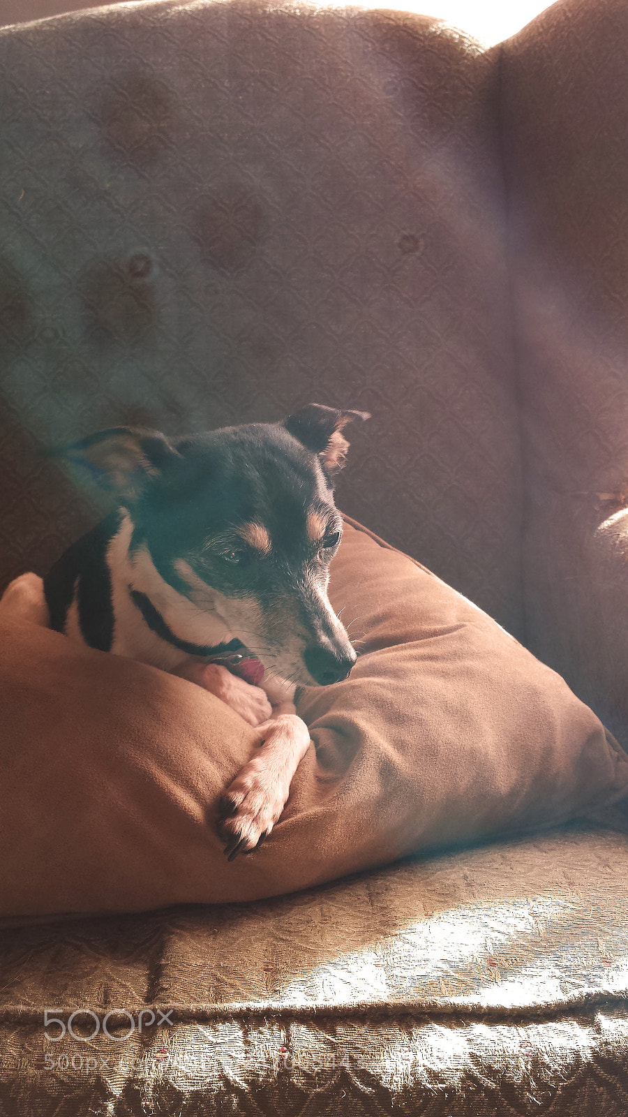 Samsung Galaxy S4 sample photo. Mindy sue photography