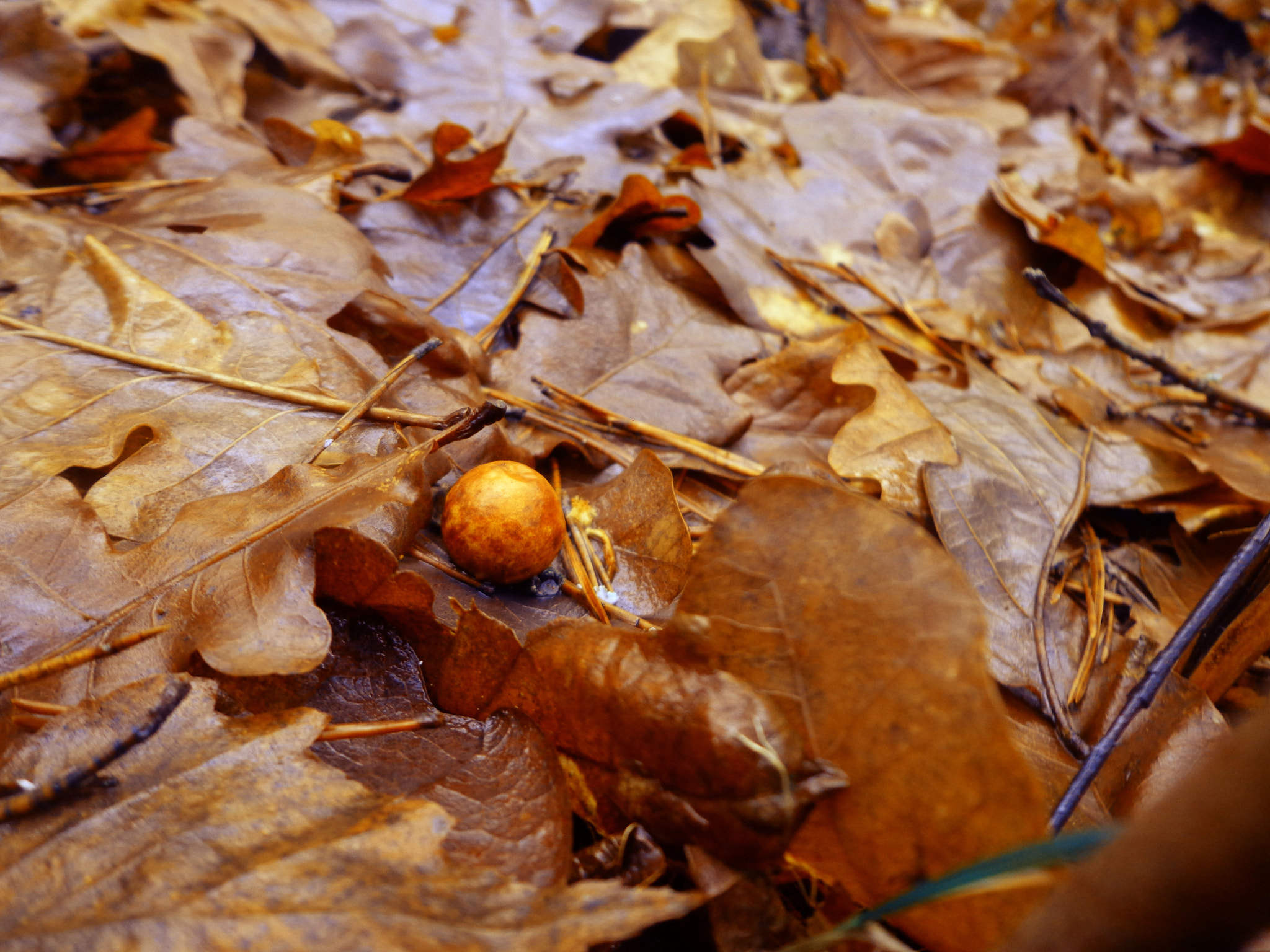 Sony DSC-W630 sample photo. Not tipical photography