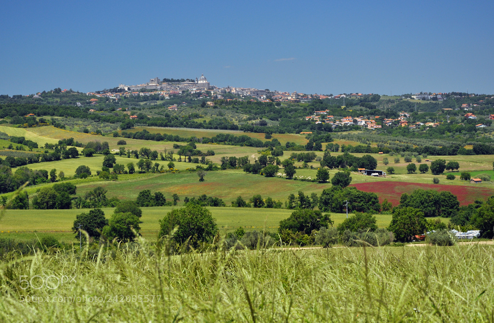 Nikon D5000 sample photo. Montefiascone photography