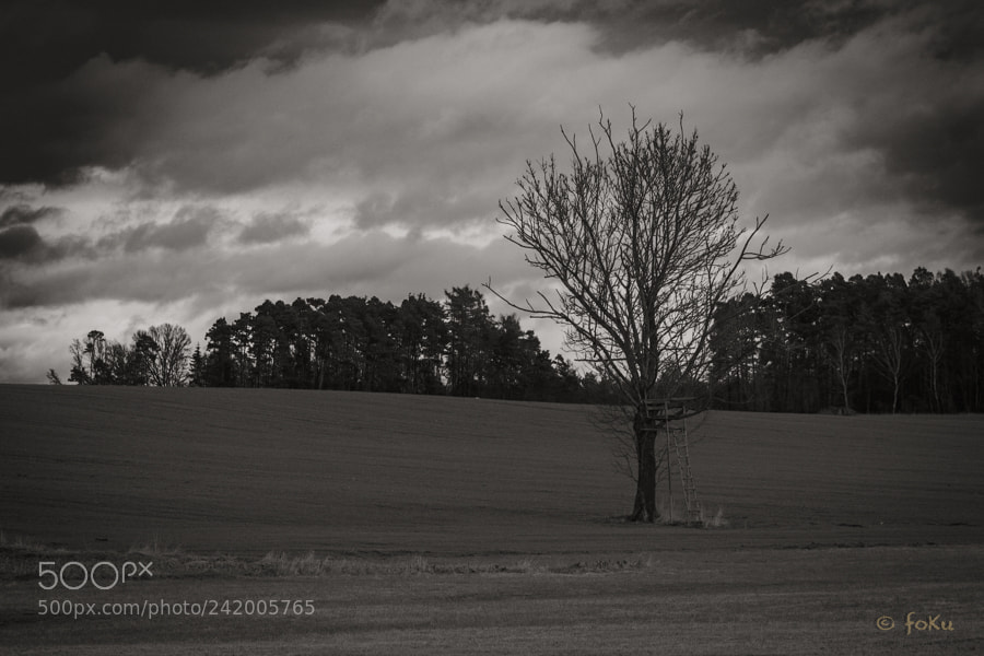 Fujifilm X-Pro1 sample photo. Recluse photography