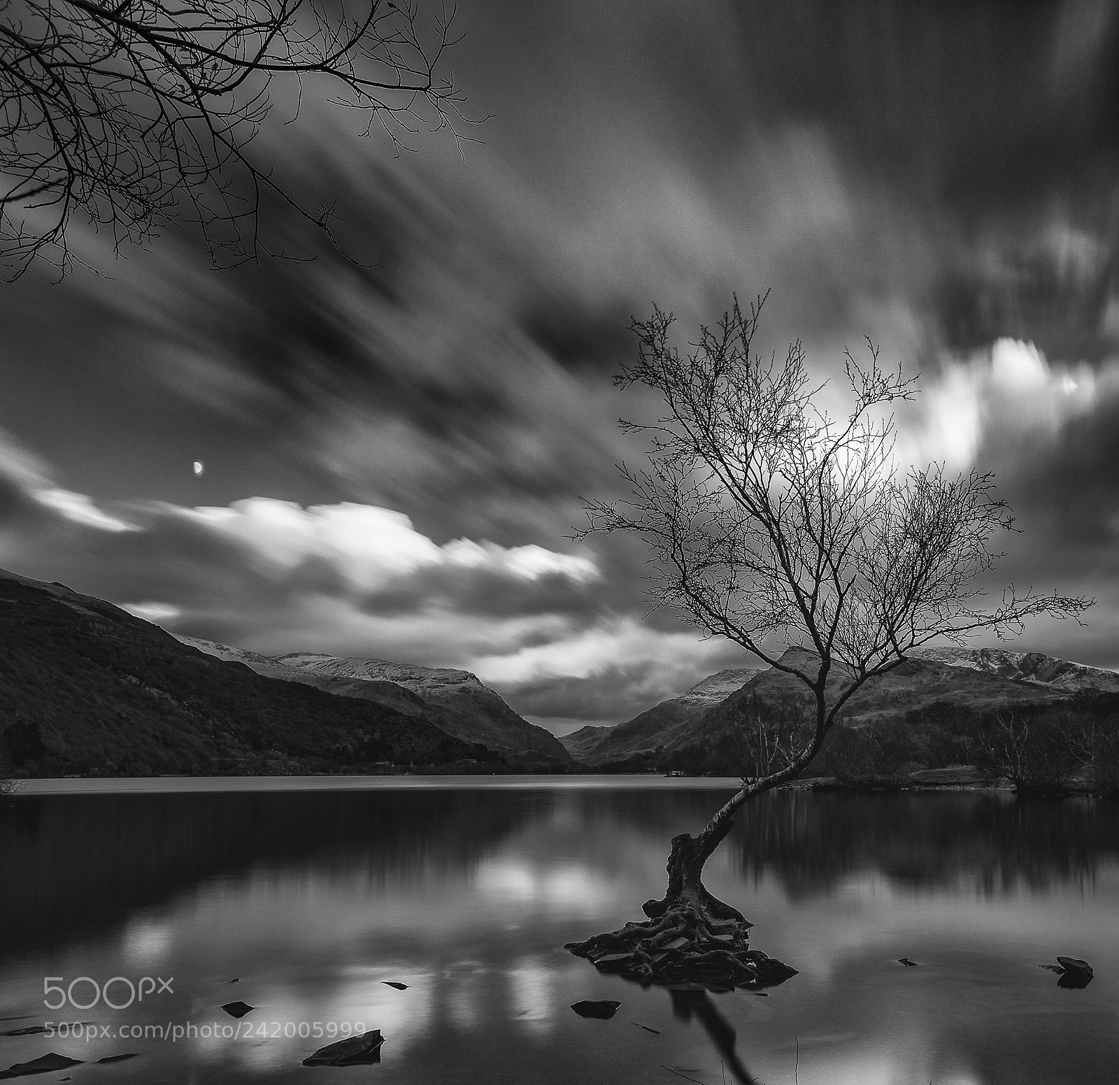 Nikon D810 sample photo. Lone tree photography
