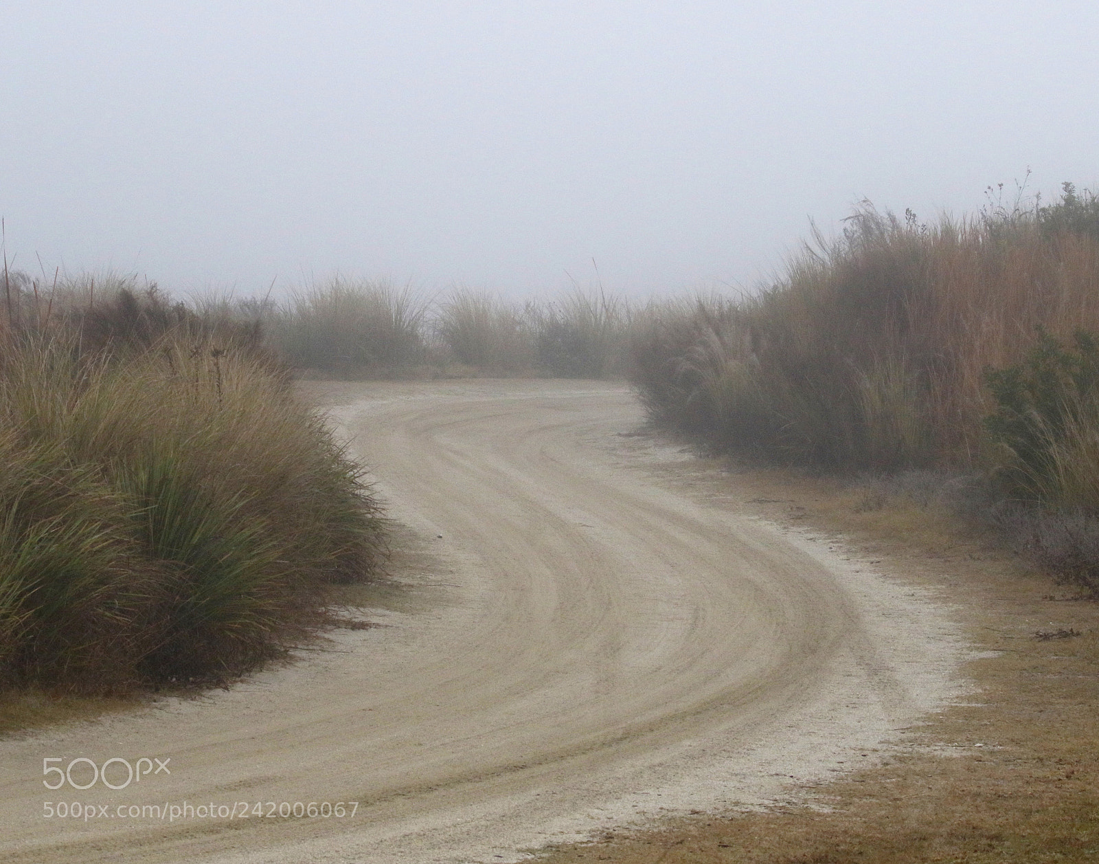 Canon EOS 7D Mark II sample photo. The road less traveled photography