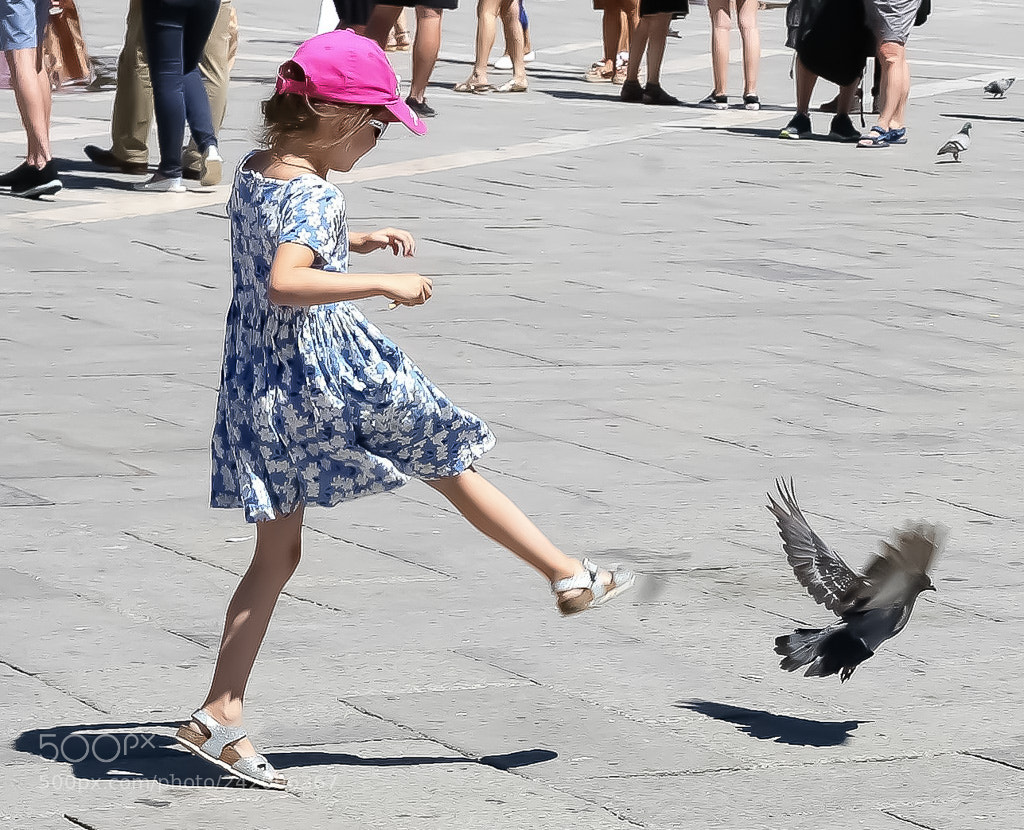 Canon EOS 5D sample photo. Img photography