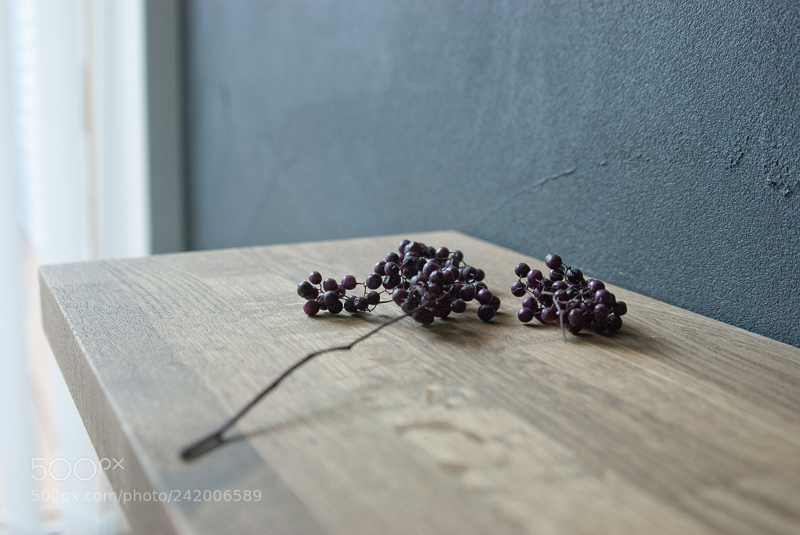 Nikon D80 sample photo. Dried flower photography