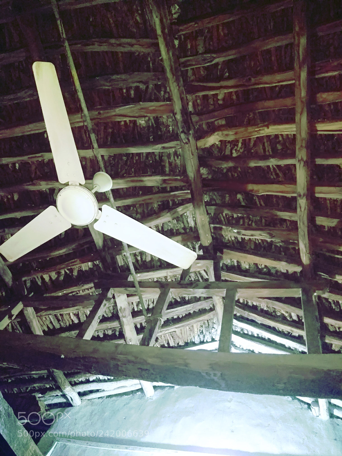 Xiaomi Redmi Note3 sample photo. Hanging fan photography